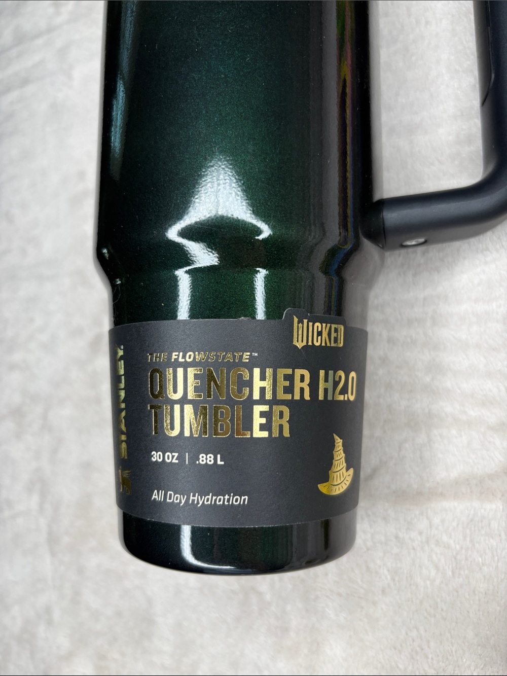Wicked Elphaba Stanley Tumblr 30oz With Matching Straw Set - Picture 2 of 8